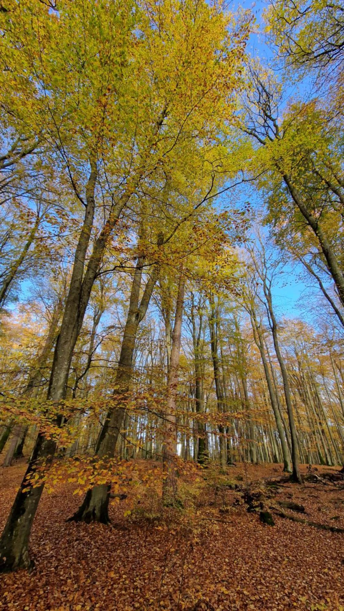 Willa Abrazja - Wypoczynek Dla Doroslych Jastrzębia Góra Exterior foto
